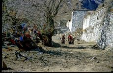 Tibet (140 von 257).jpg